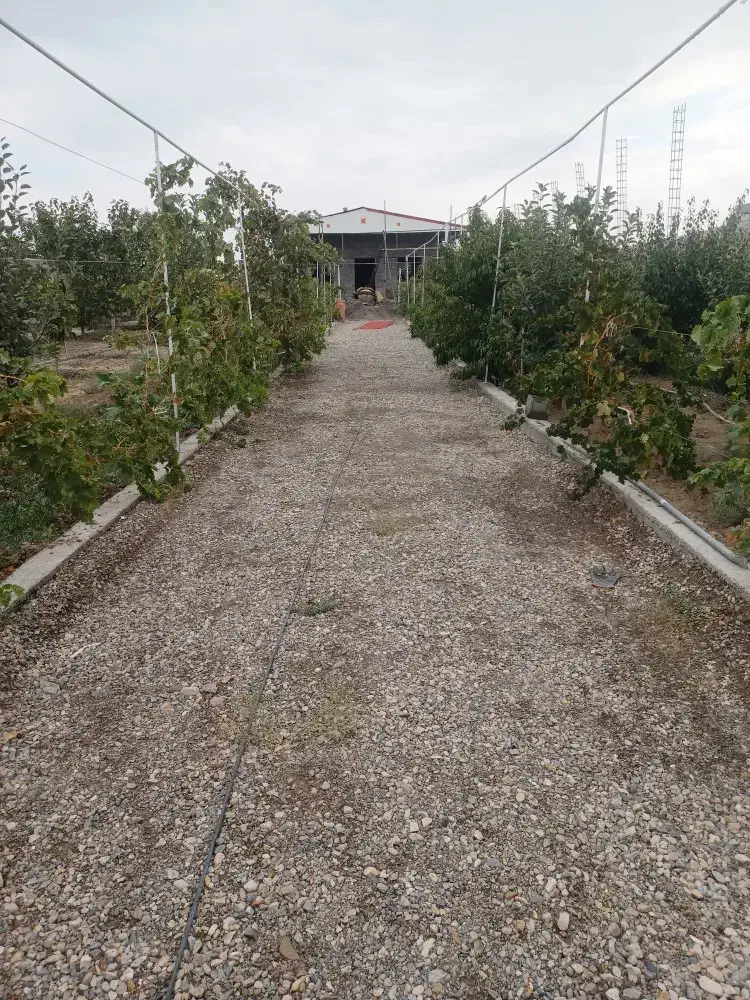 باغ۱۵۰۰متر جاده شیرین عسل|فروش خانه و ویلا|شبستر, |دیوار