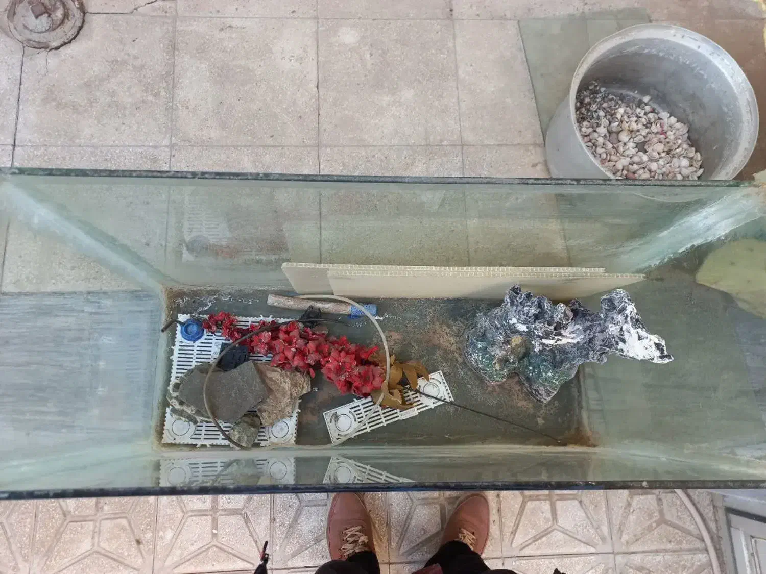 آکواریوم بزرگ|ماهی|قم, انصار‌الحسین|دیوار