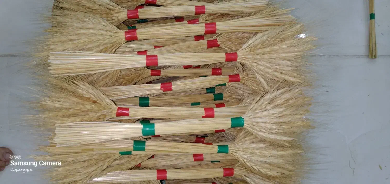 گندم طلای|گل و گیاه طبیعی|خاوران, |دیوار