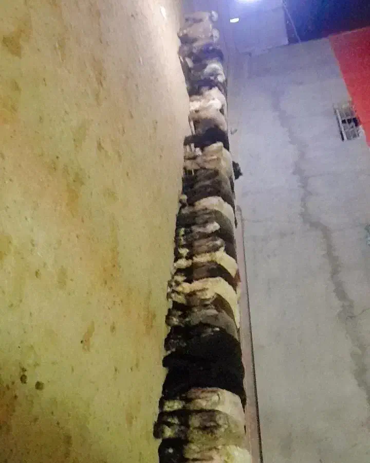 بره نره فروشی|حیوانات مزرعه|صمصامی, |دیوار