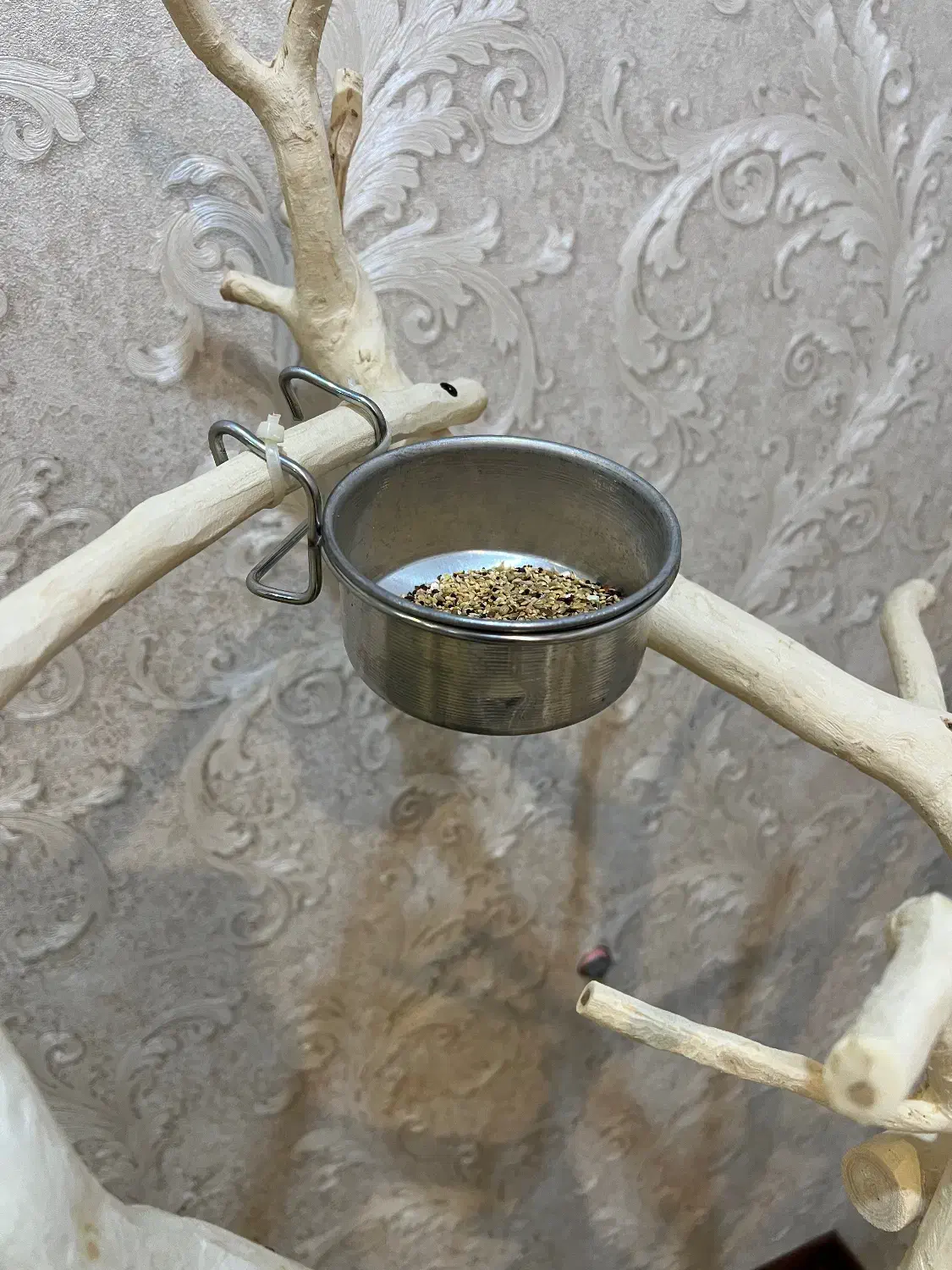 آب خوری استیل|لوازم جانبی حیوانات|قم, سالاریه|دیوار