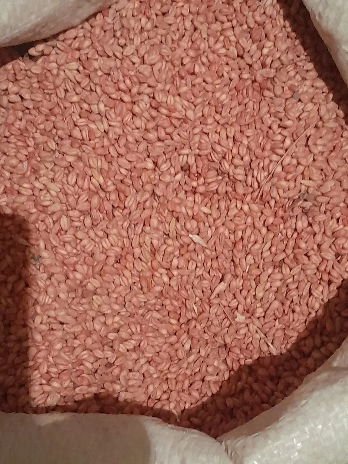 فروش گندم|خوردنی و آشامیدنی|سربند, |دیوار