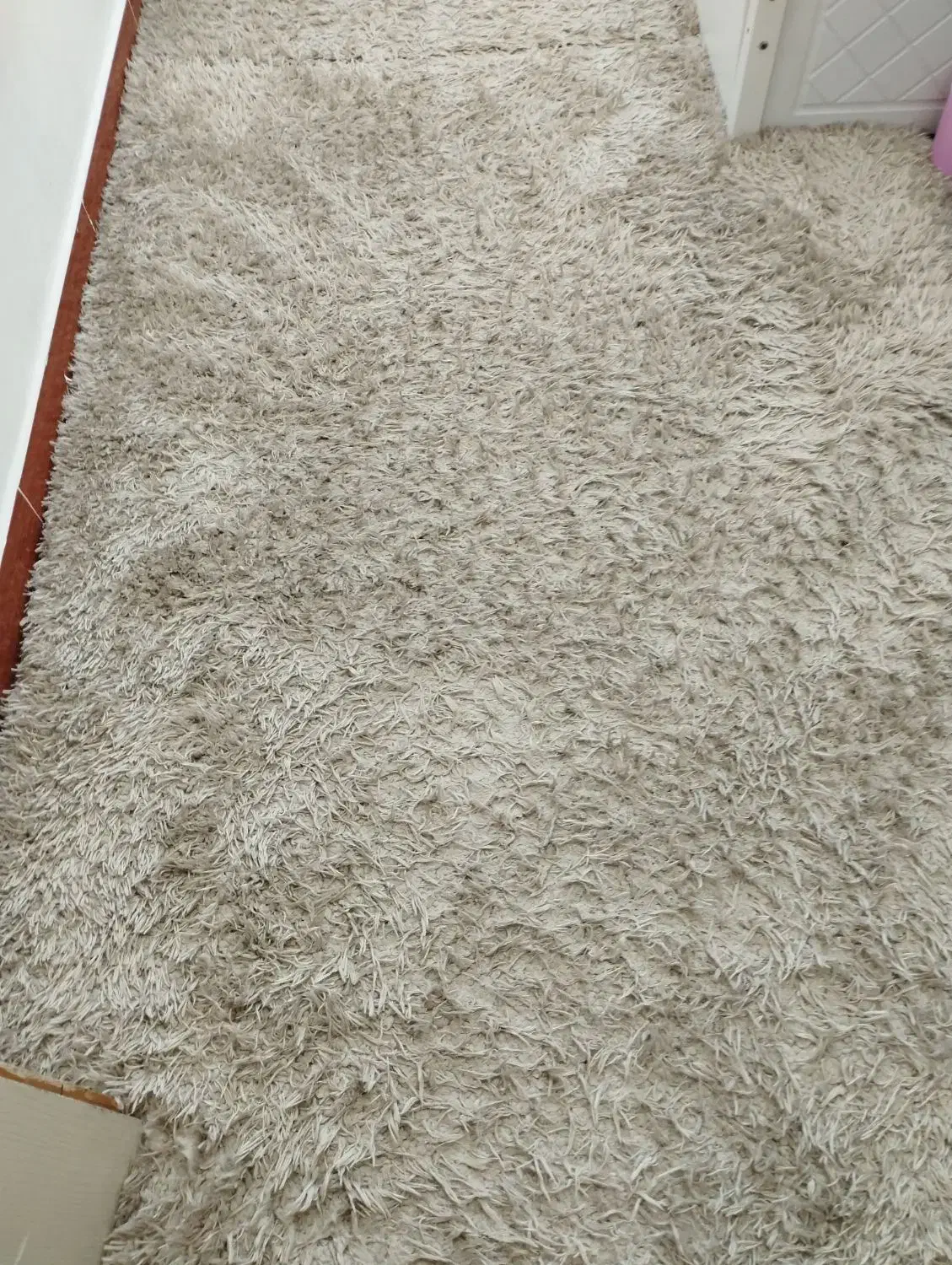 فرش فلوکاتی|فرش|قرچک, میرزائی شمالی|دیوار