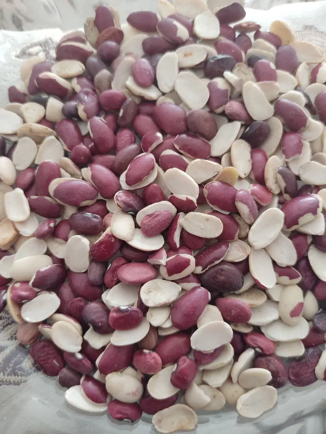 لوبیا قرمز لپه ای|خوردنی و آشامیدنی|سمیرم, |دیوار