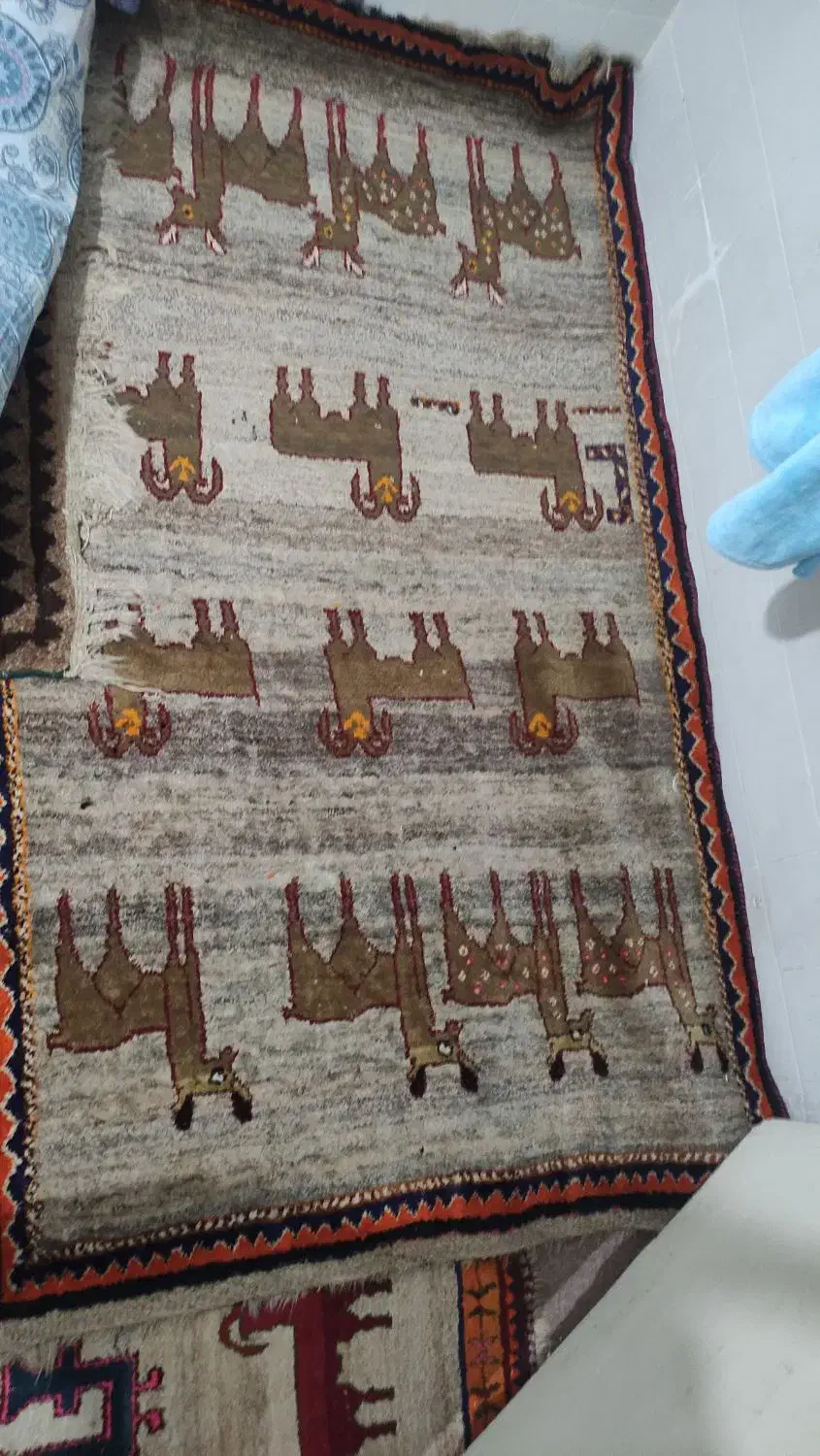گبه گلیم|گلیم، جاجیم، گبه|شیراز, سفیرشمالی|دیوار