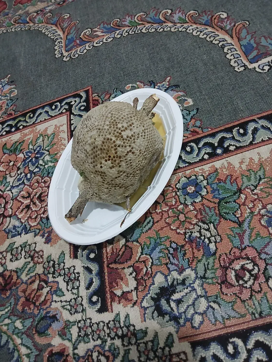 عسل|خوردنی و آشامیدنی|اندیمشک, |دیوار