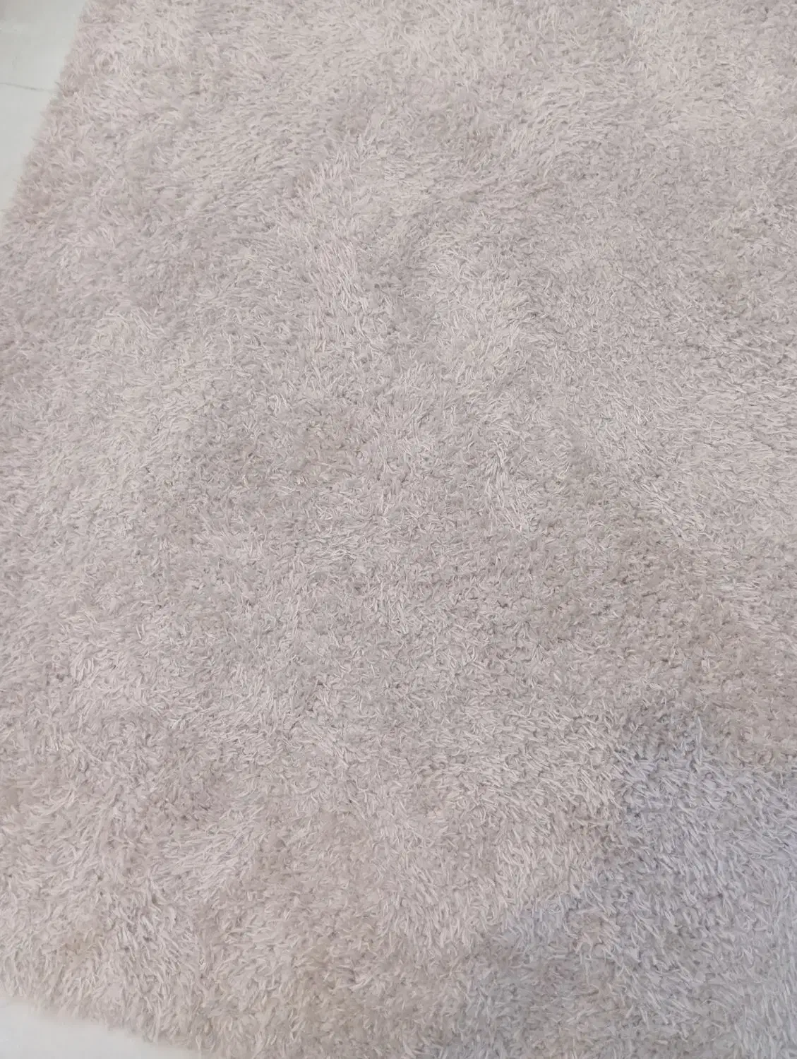 فرش نو|فرش|آمل, |دیوار