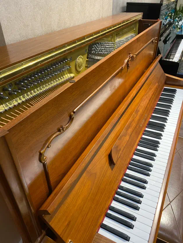 سمیک su۱۲۱ همراه با شرایط اقساط|پیانو، کیبورد، آکاردئون|تبریز, |دیوار