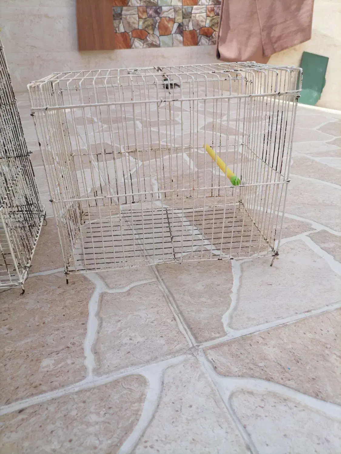 قفس پرنده|لوازم جانبی حیوانات|برازجان, |دیوار