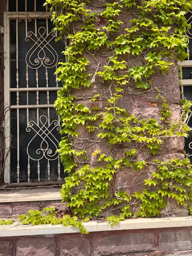 ویلایی دو تک واحد یک سرایداری موقعیت اداری