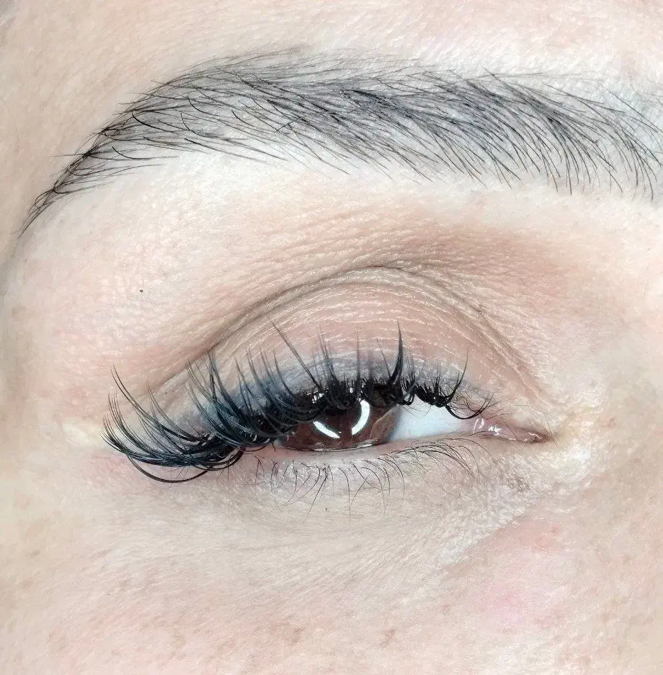 مدل مژه|خدمات آرایشگری و زیبایی|قرچک, مهدیه|دیوار