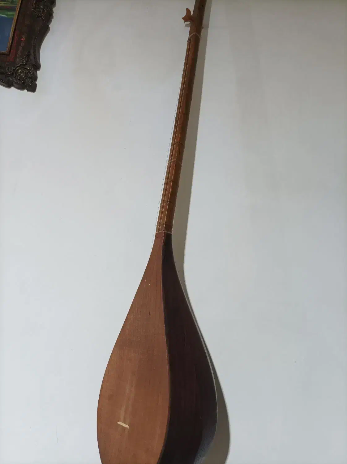 دوتار در حد نو|سازهای سنتی|تربت جام, میان جام|دیوار