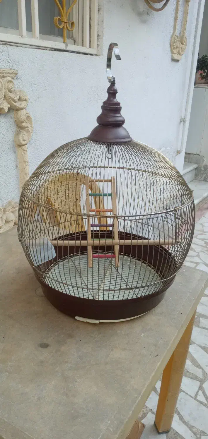 قفس پرنده|لوازم جانبی حیوانات|رشت, دروازه لاکان|دیوار