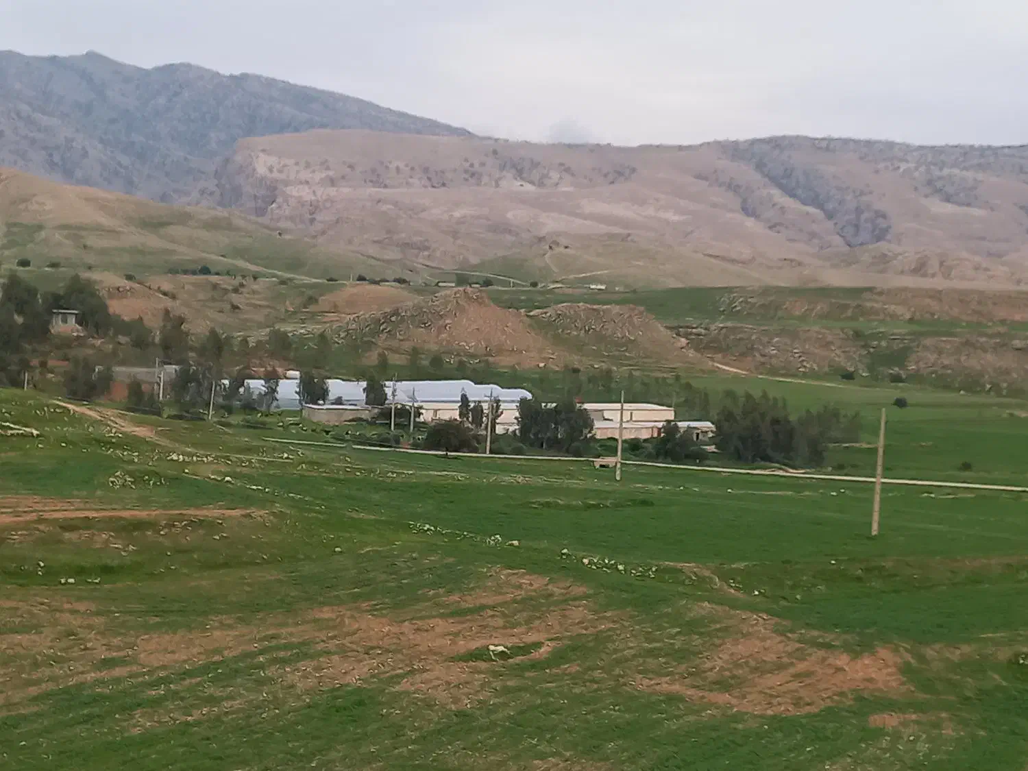 مزرعه مرغداری و گلخانه و باغ و ویلا|فروش دفتر صنعتی، کشاورزی، تجاری|لالی, |دیوار