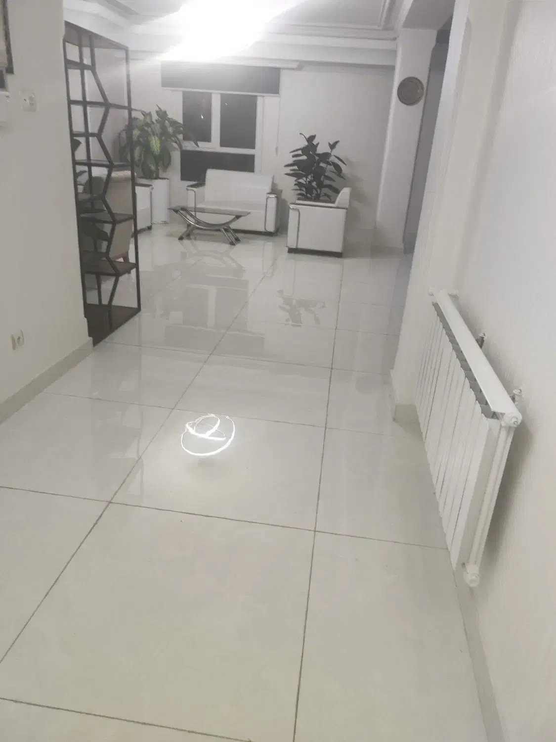 کارگر خانم جهت نظافت|استخدام سرایداری و نظافت|تهران, پاسداران|دیوار