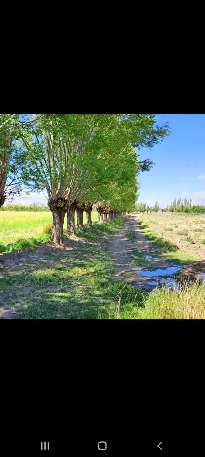 زمین کشاورزی فولادمحله|اجارهٔ دفتر صنعتی، کشاورزی، تجاری|سمنان, |دیوار