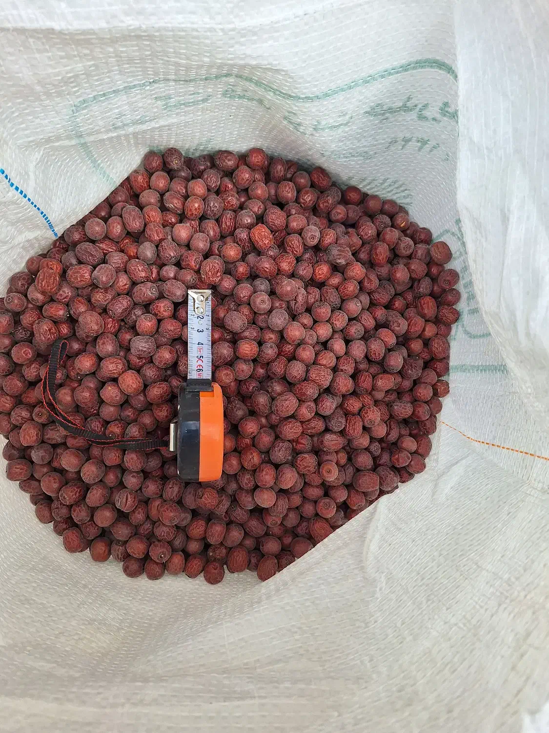 عناب سایز ۱۴ تا ۱۷|خوردنی و آشامیدنی|قائن, |دیوار