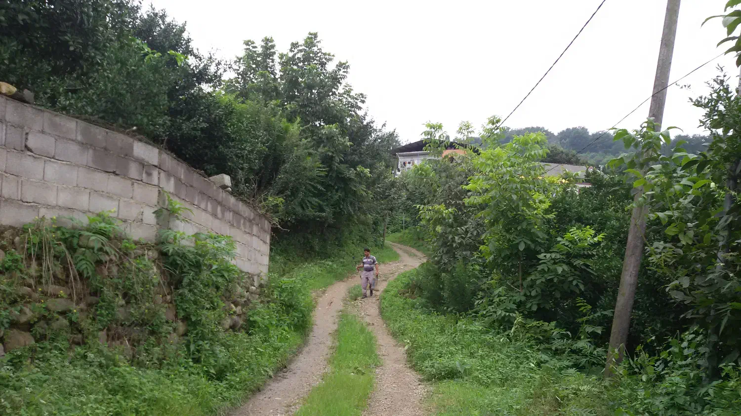 387زمین.تفکیکی .شهرکی|فروش خانه و ویلا|مرزیکلا, |دیوار