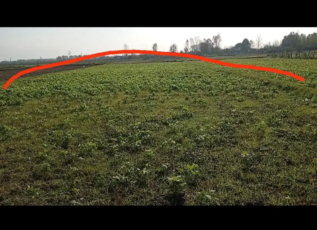 فروش بیجار دومنظوره در ضیابر. خلیفه کنار|فروش دفتر صنعتی، کشاورزی، تجاری|ضیابر, |دیوار