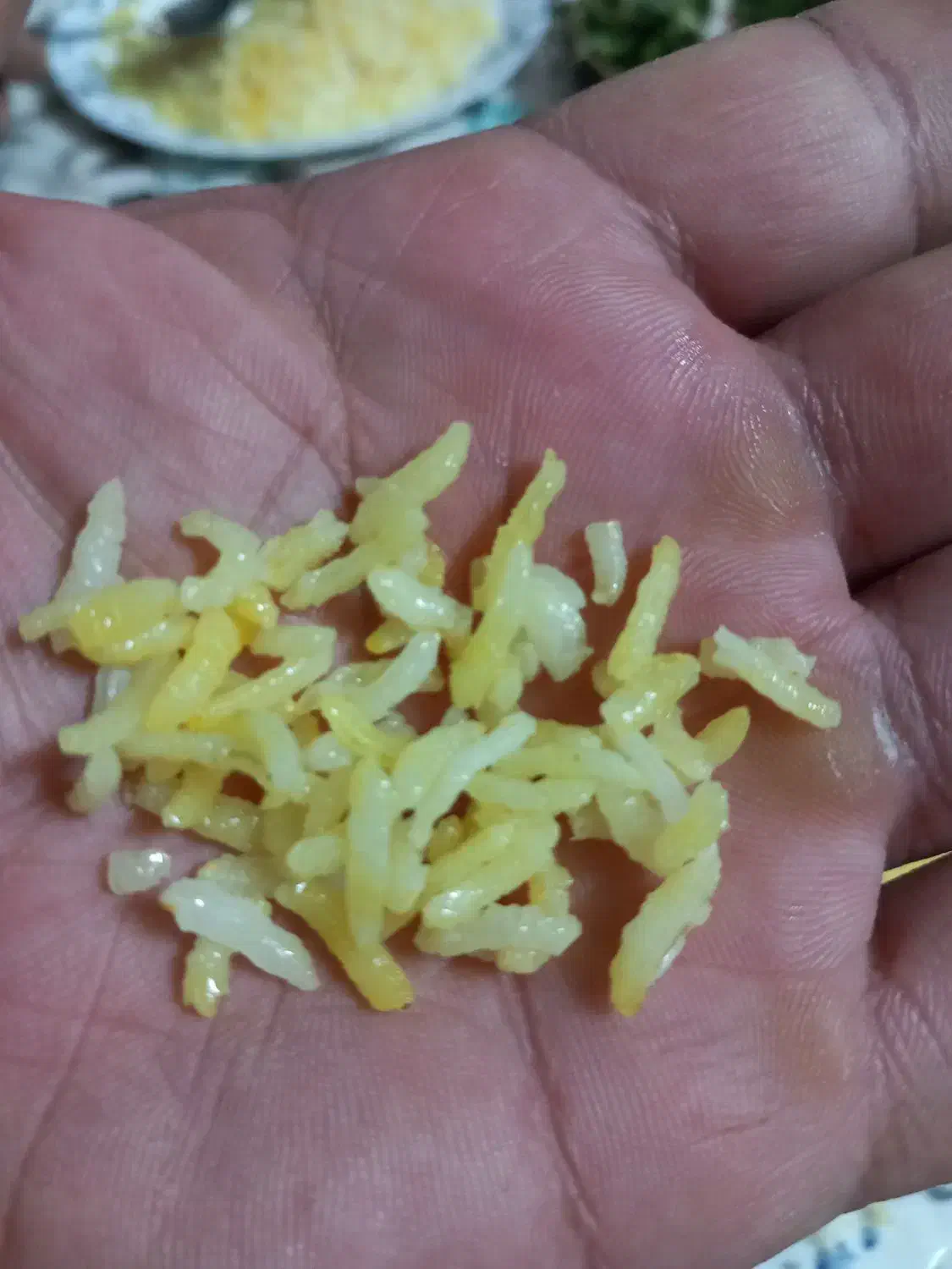 فروش برنج کامفیروزی بدون خورده در حد عالی|خوردنی و آشامیدنی|شیراز, دکتر حسابی|دیوار