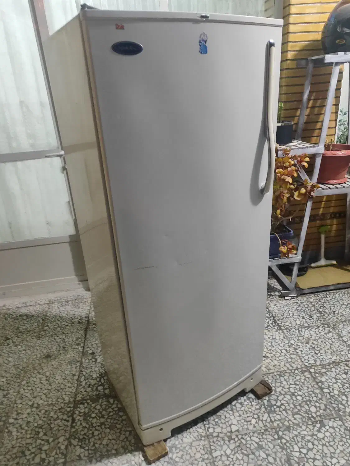 فریزر تمیز|یخچال و فریزر|فلاورجان, |دیوار