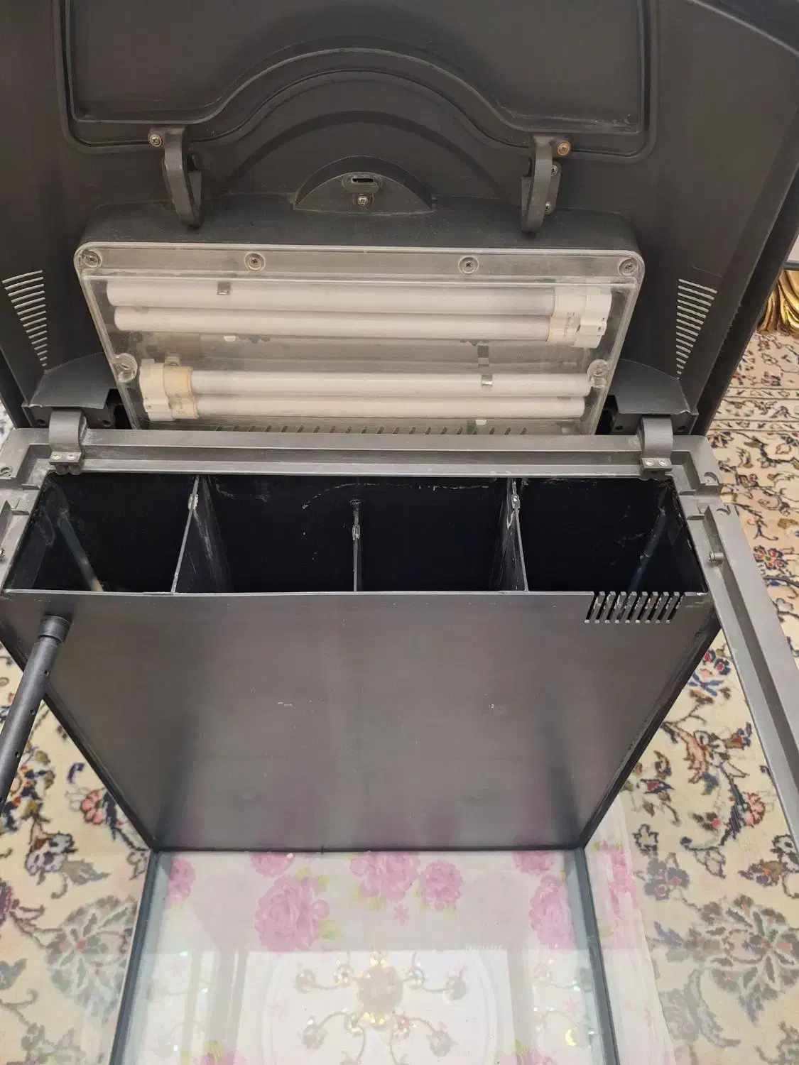 اکواریوم  شرکتی  ماهیران|ماهی|تهران, پونک|دیوار