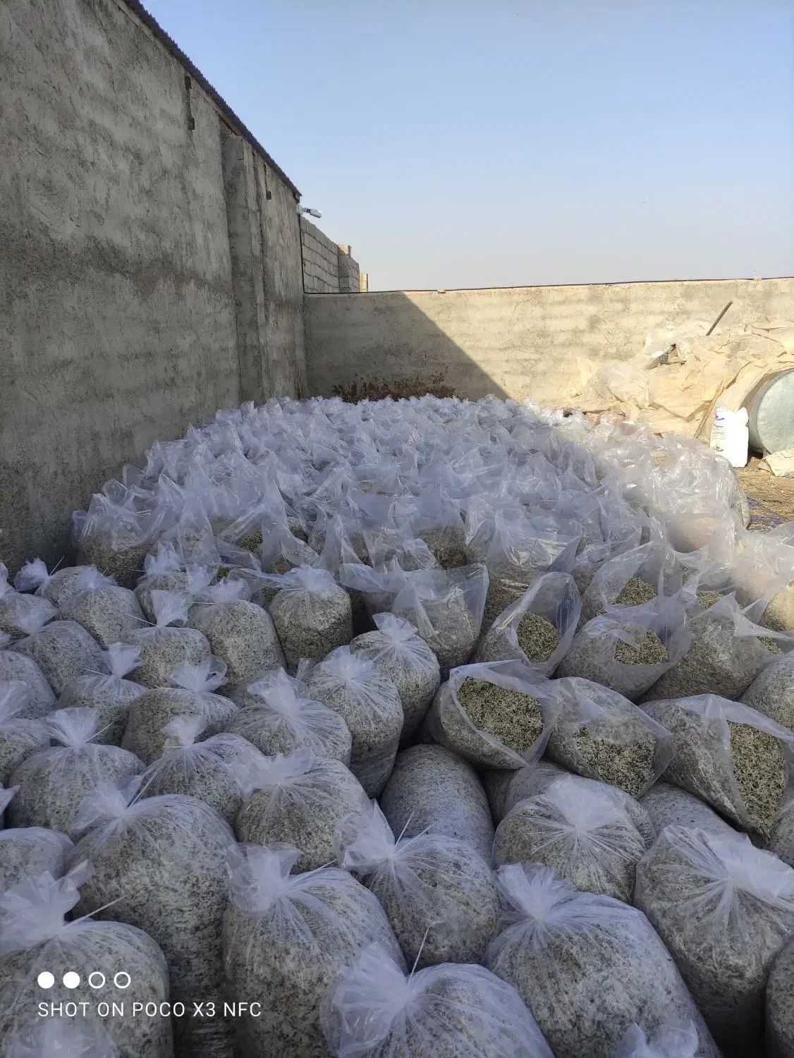 تفاله چقندر|لوازم جانبی حیوانات|فردوس (خراسان), |دیوار