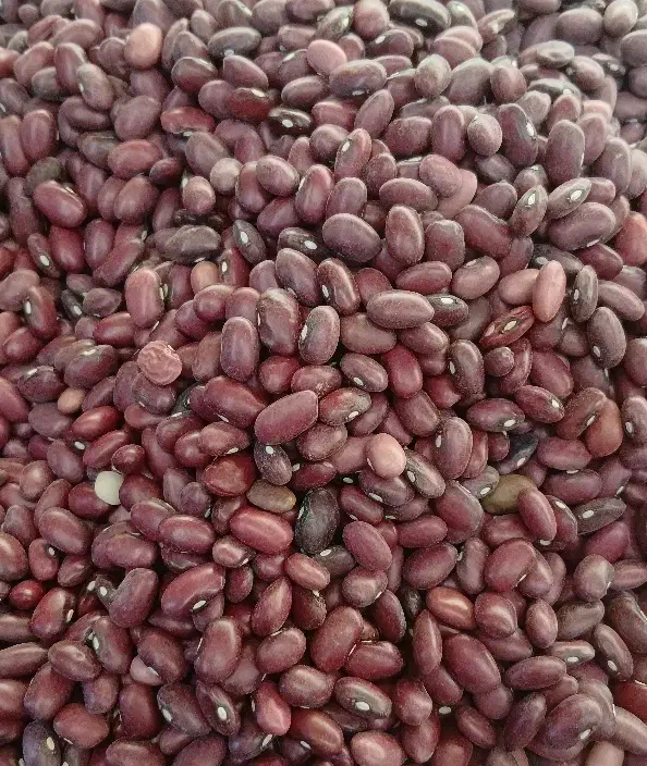 حبوبات درجه یک|عمده‌فروشی|مرودشت, بیست متری بیمارستان|دیوار