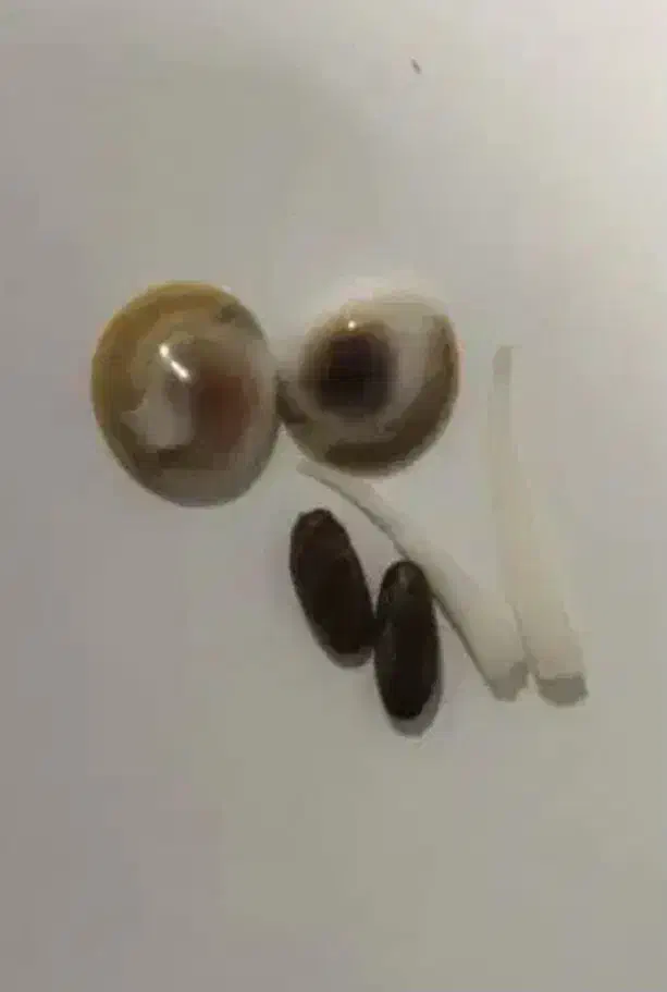 مهره اصلی|جواهرات|اهواز, نبوت|دیوار