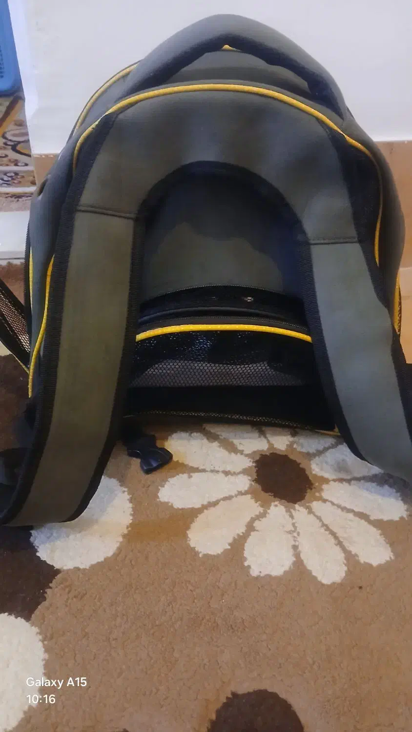 وسایل پت خانگی|لوازم جانبی حیوانات|بروجرد, |دیوار