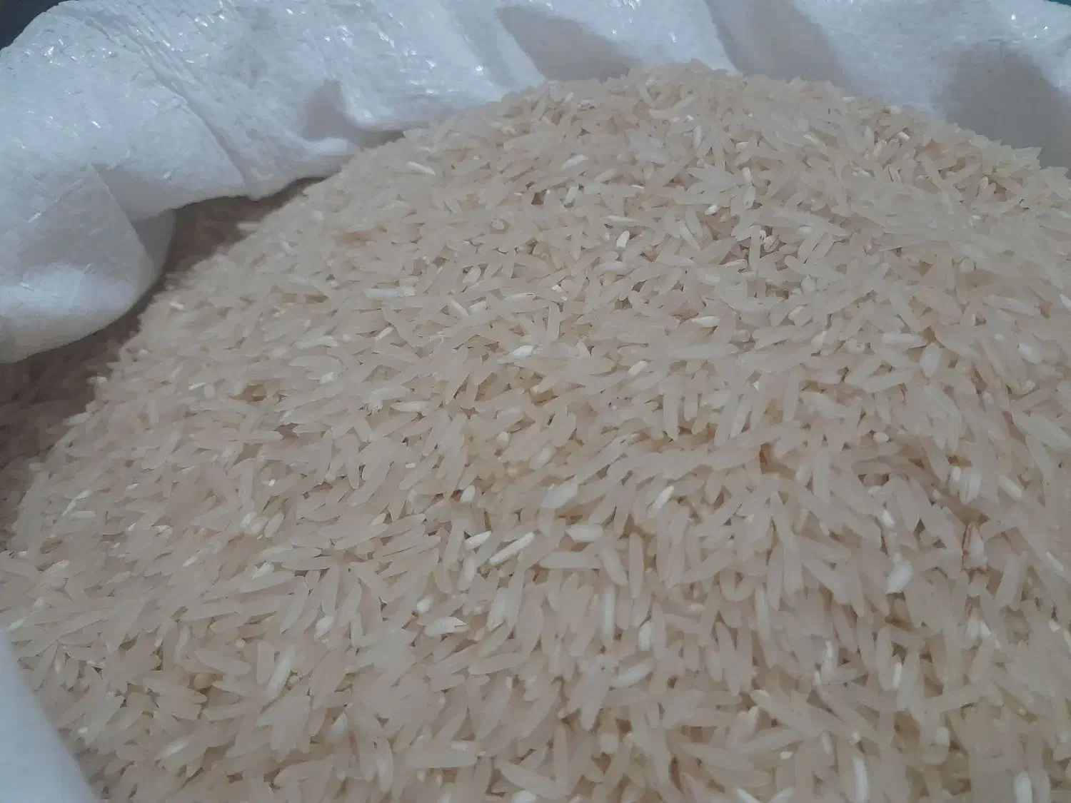 برنج سوزنی اصل بوجاری شده|خوردنی و آشامیدنی|آزادشهر, |دیوار