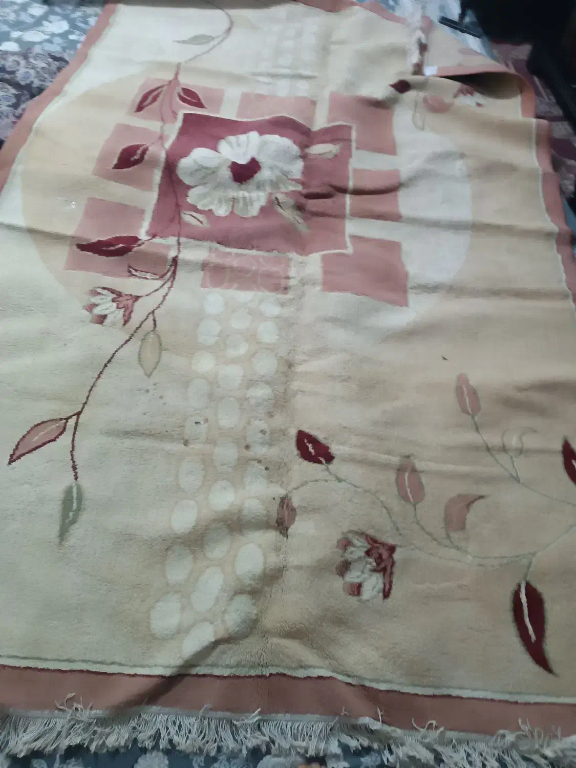 فرش|فرش|فردیس, سرحد آباد|دیوار