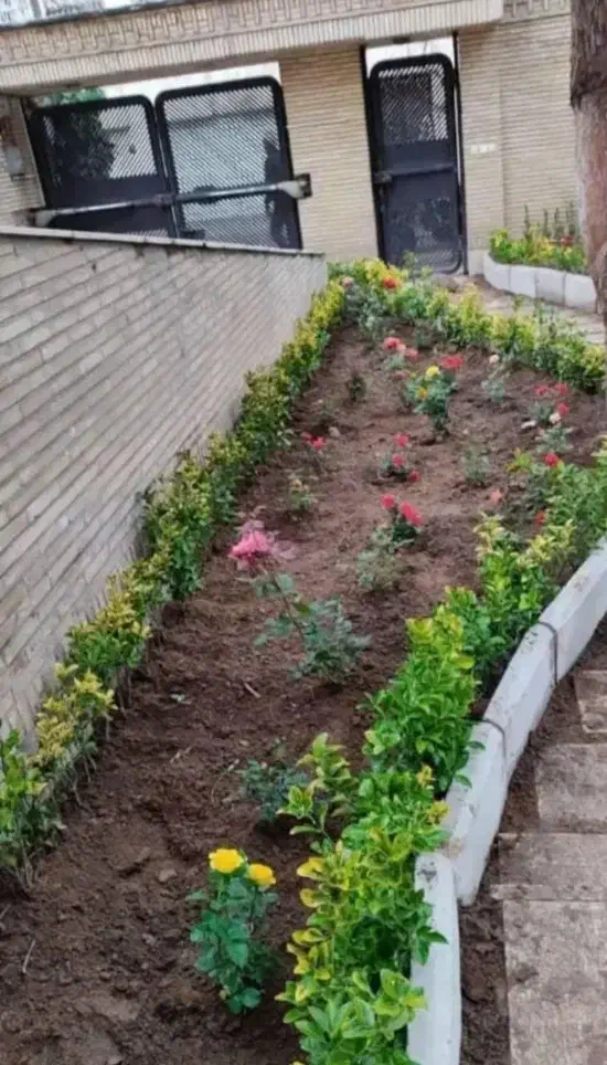 خدمات باغبانی و کشاورزی|خدمات باغبانی و درختکاری|زاهدان, |دیوار