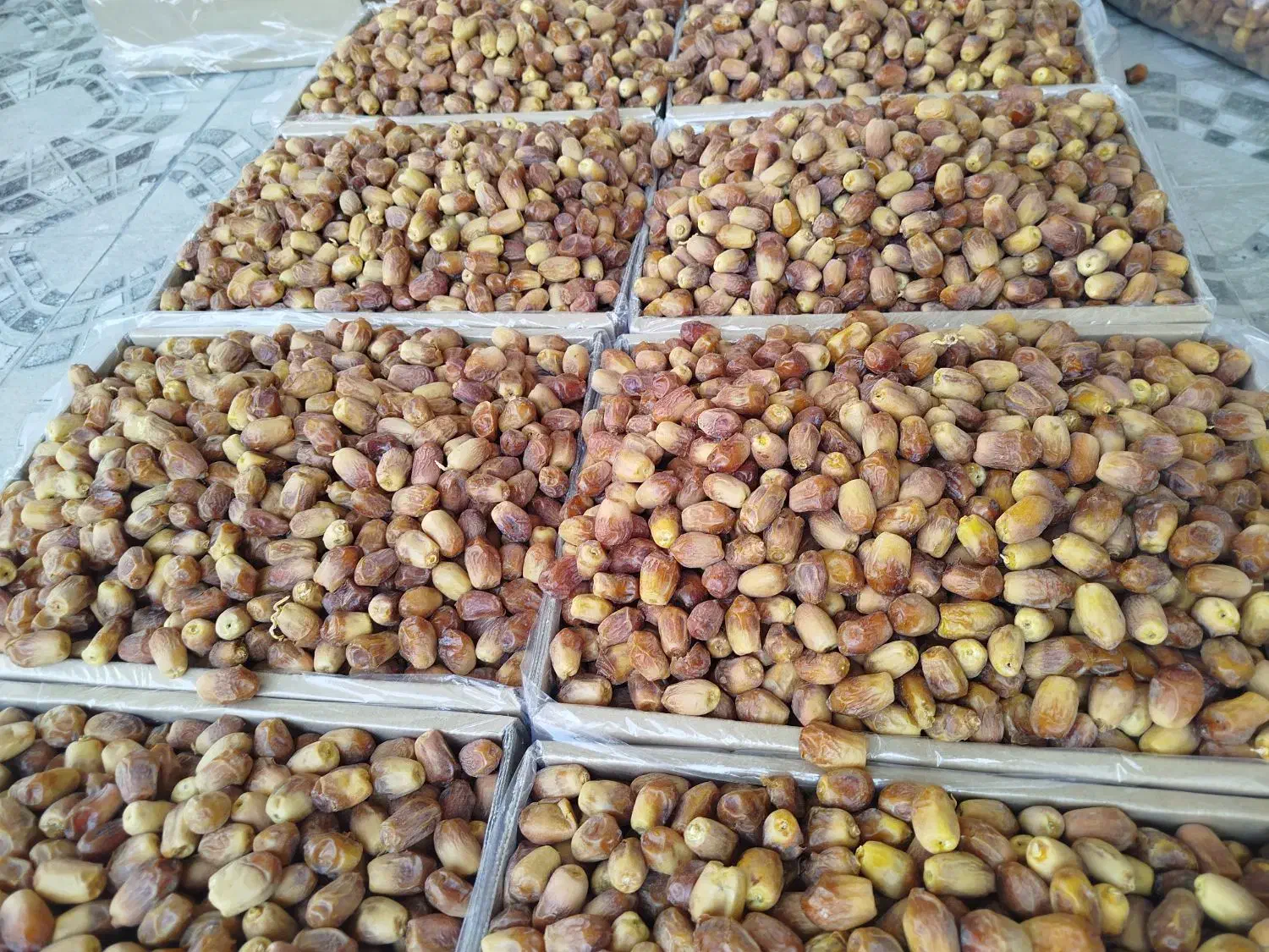 خرمای زاهدی(قصب)|خوردنی و آشامیدنی|قیروکارزین, |دیوار