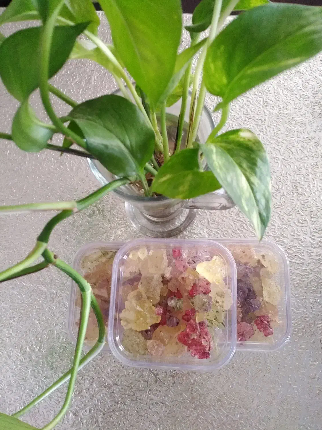 قندونبات وخرده نبات دمنوشی بسته 100گرمی و 200گرمی|خوردنی و آشامیدنی|قم, پردیسان|دیوار