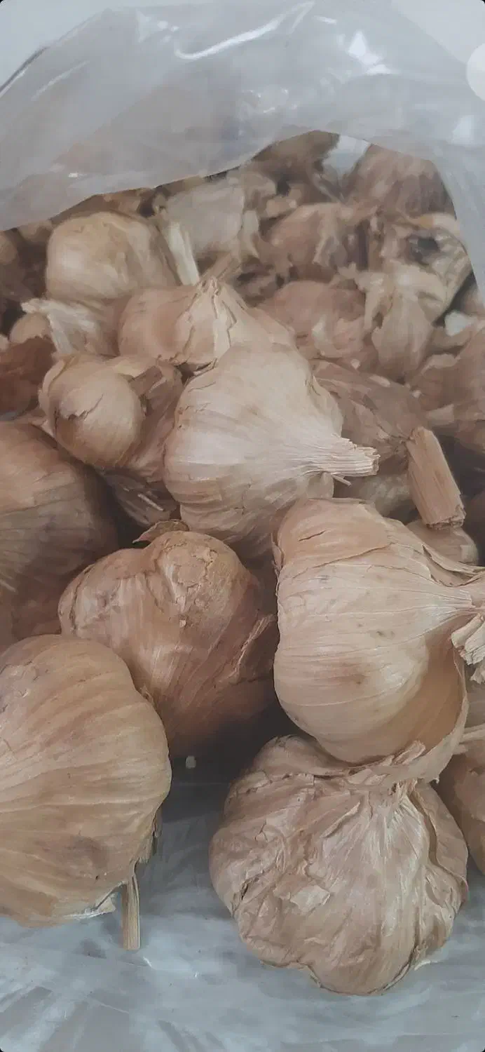 سیر سیاه|خوردنی و آشامیدنی|اصفهان, پروین|دیوار