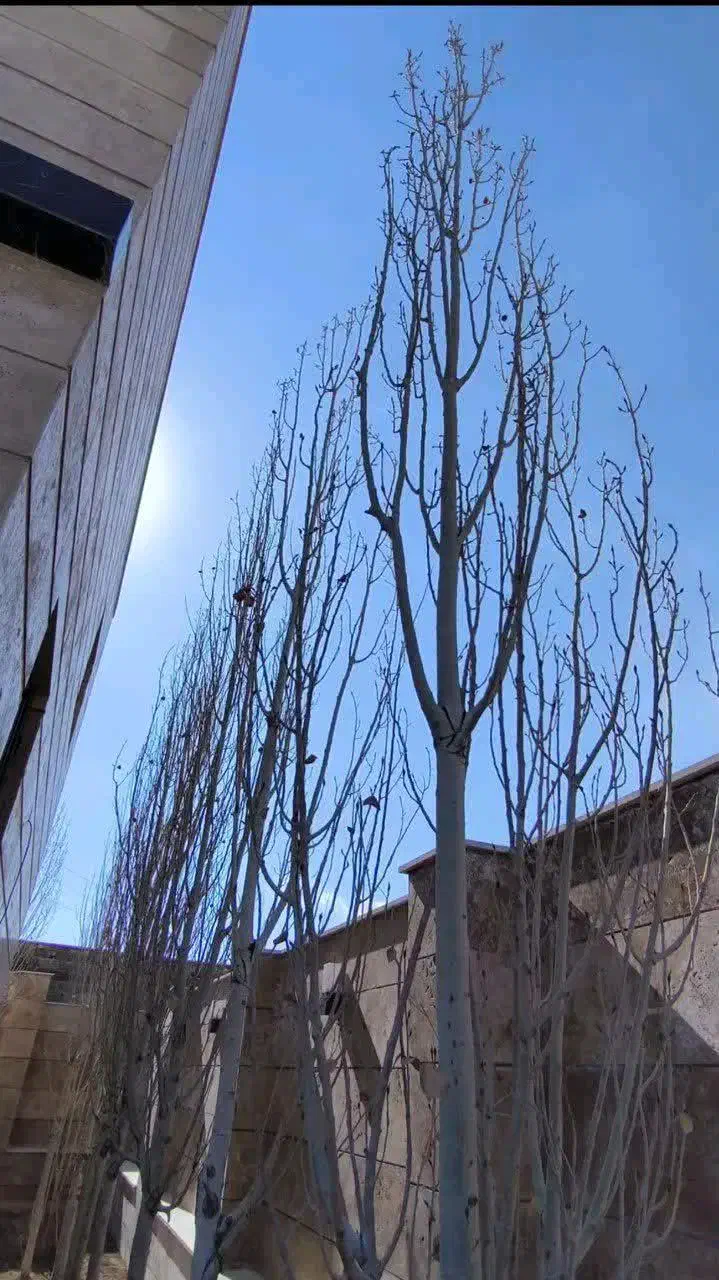 ویلای۳۷۸. متری۲۰۵. متر بنا مهرآباد.رودهن|فروش خانه و ویلا|رودهن, |دیوار