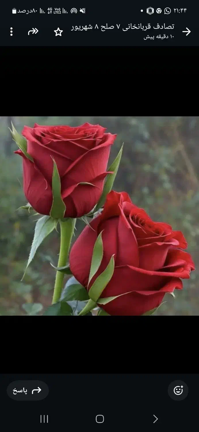 09351113211|سیم‌کارت|قزوین, |دیوار