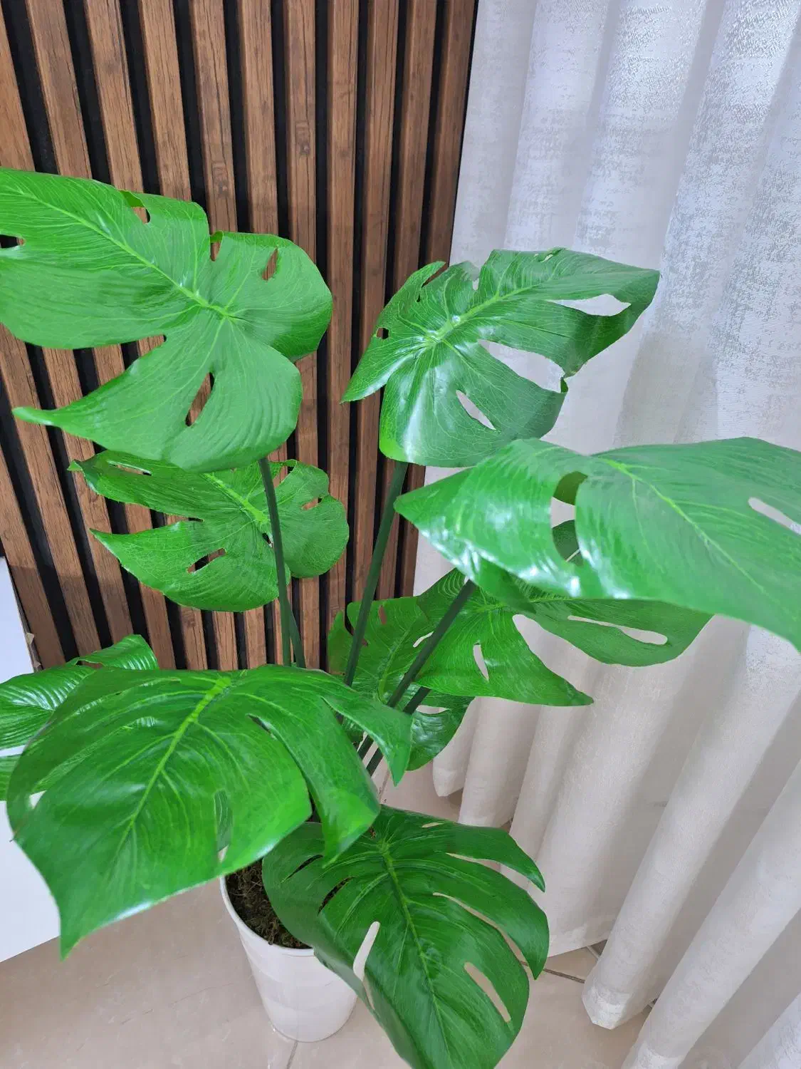 درختچه مصنوعی|گل مصنوعی|مشهد, انقلاب|دیوار