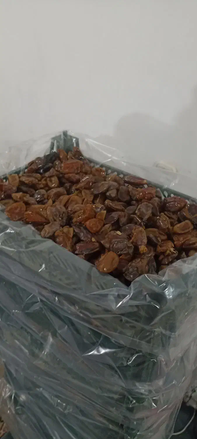 خرما بدون هسته|حراج|کوهدشت, |دیوار