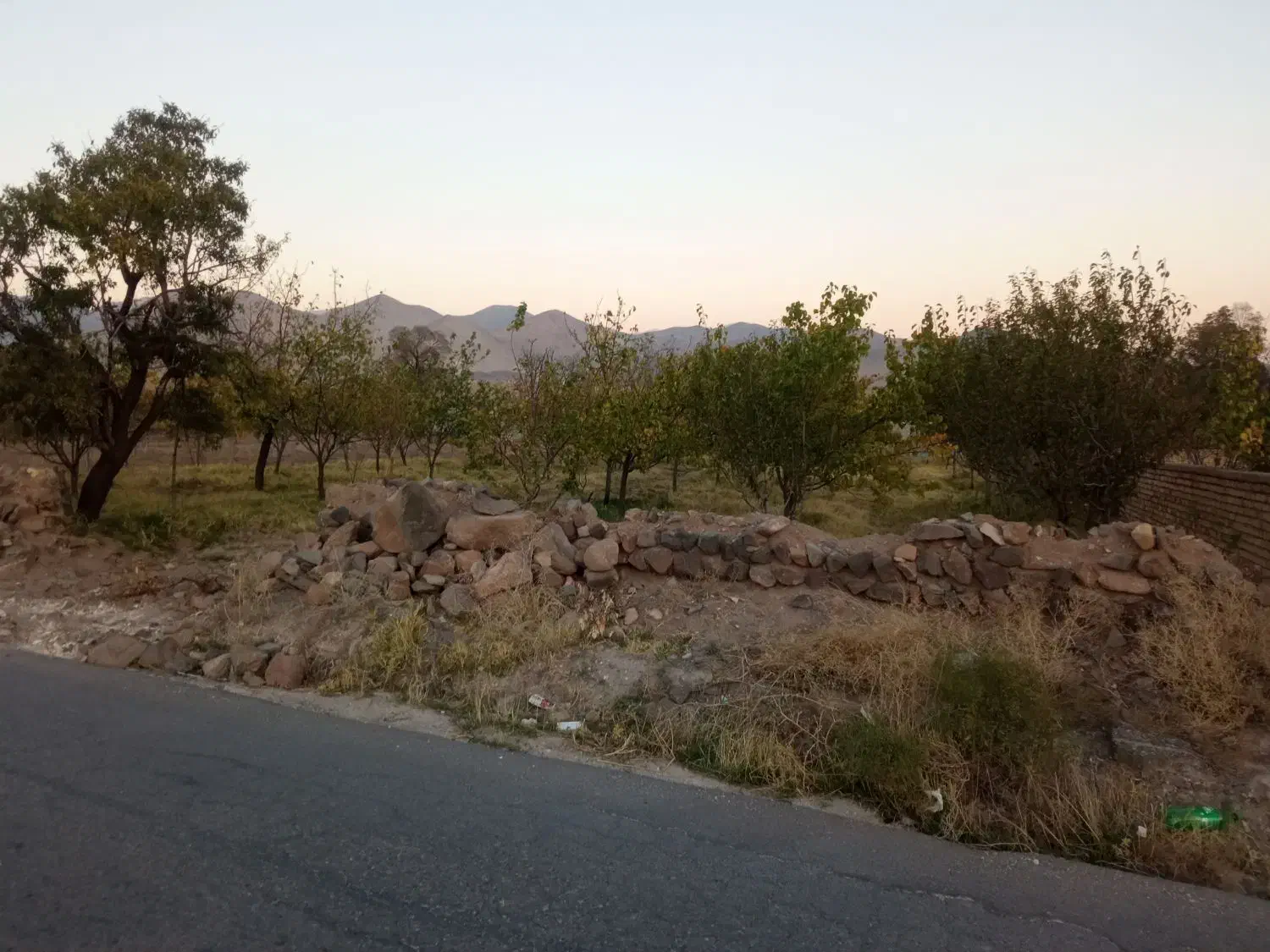 باغ در روستای ساری تپه|فروش دفتر صنعتی، کشاورزی، تجاری|مرند, |دیوار