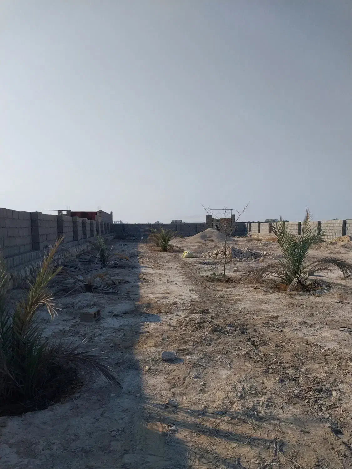 فروش زمین گورک خورشیدی|فروش زمین و ملک کلنگی|چغادک, |دیوار