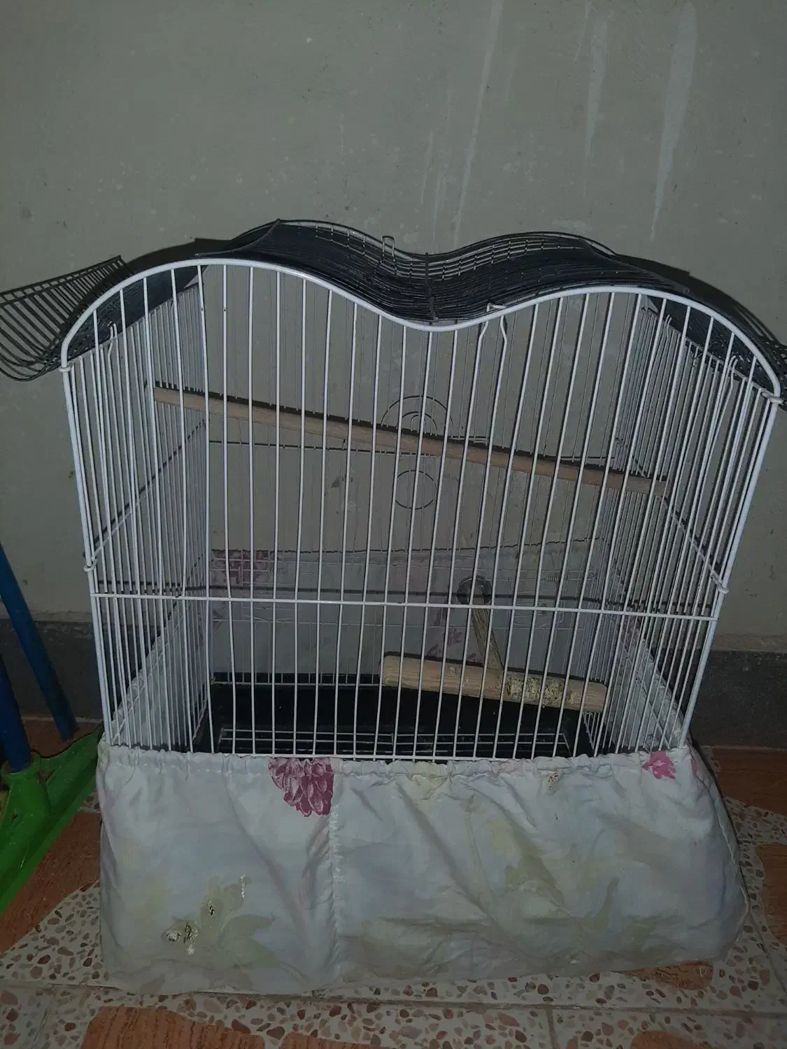 گیرنده دیجیتال   تلویزیون ۱۴   قفس پرنده  ۳۰۰|صوتی و تصویری|شاهرود, |دیوار