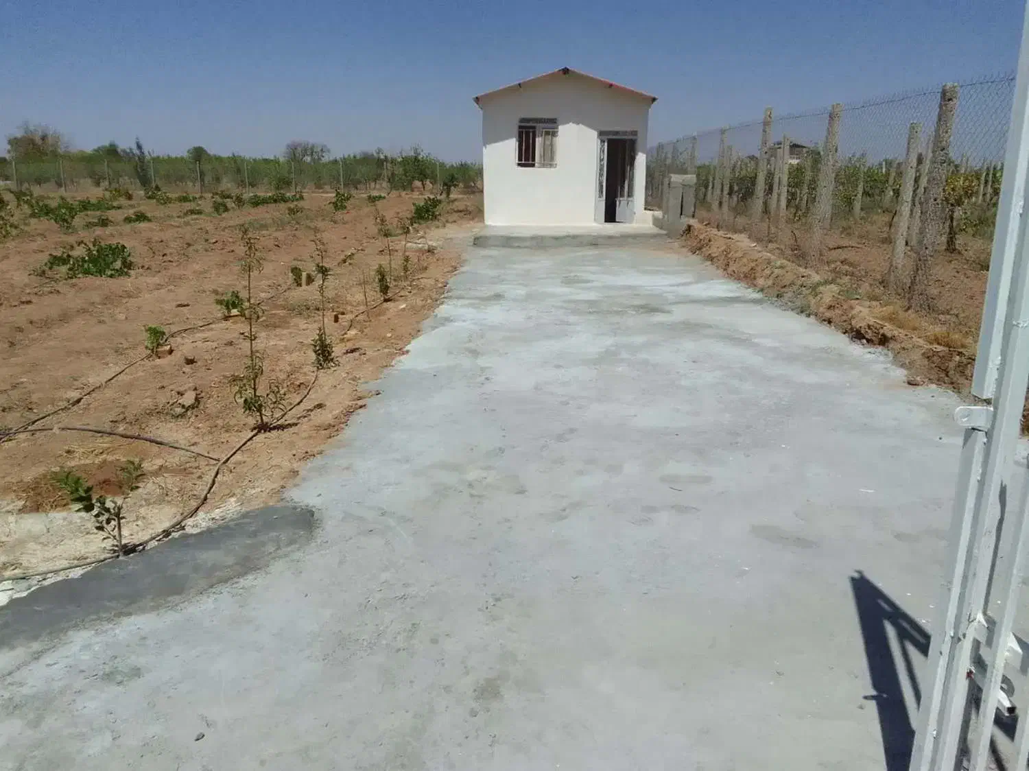 فروش2000متر زمین بابنای احداثی نقدو معاوضه وشرایطی|فروش زمین و ملک کلنگی|تاکستان, |دیوار