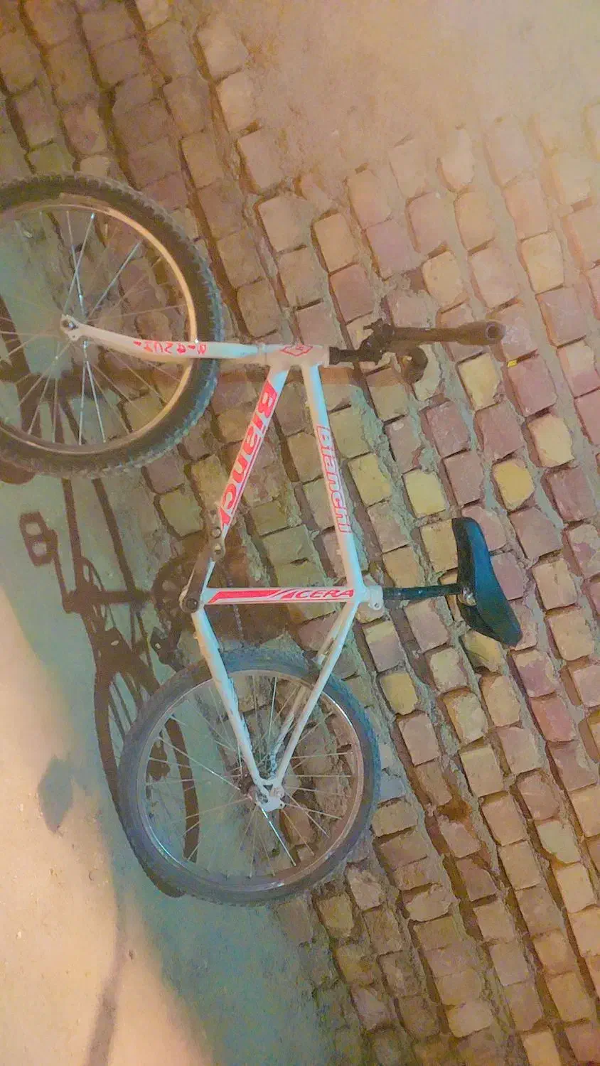 دوچرخه 20|دوچرخه، اسکیت، اسکوتر|کرباسک, |دیوار