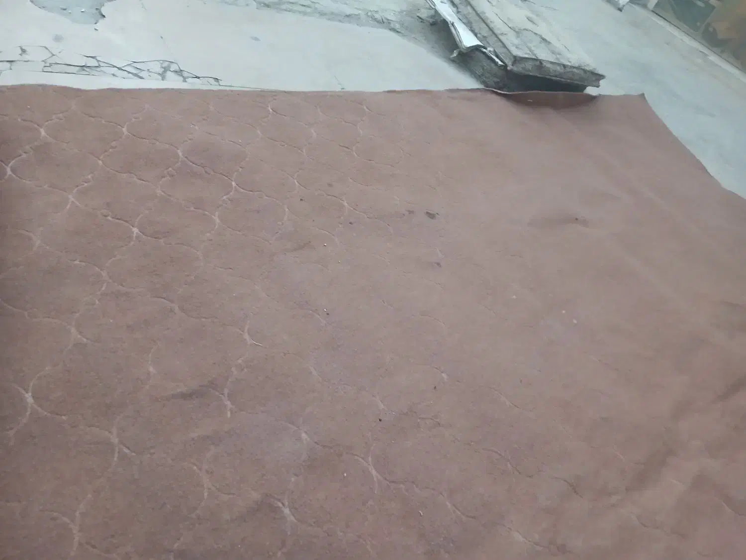 موکت ۱۲متری|فرش|خرمشهر, |دیوار