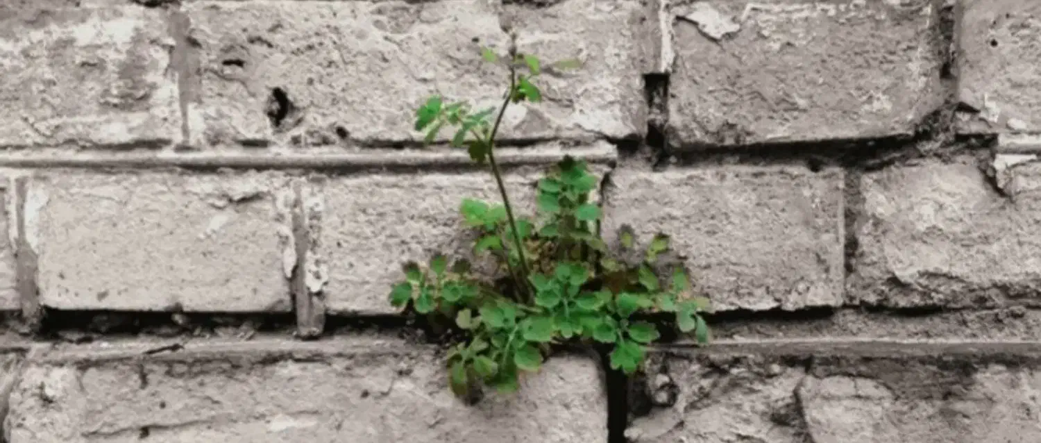 نیازمند ۵۰۰ میلیون تومان وام|فعالیت داوطلبانه تحقیقاتی|مشهد, نوید|دیوار