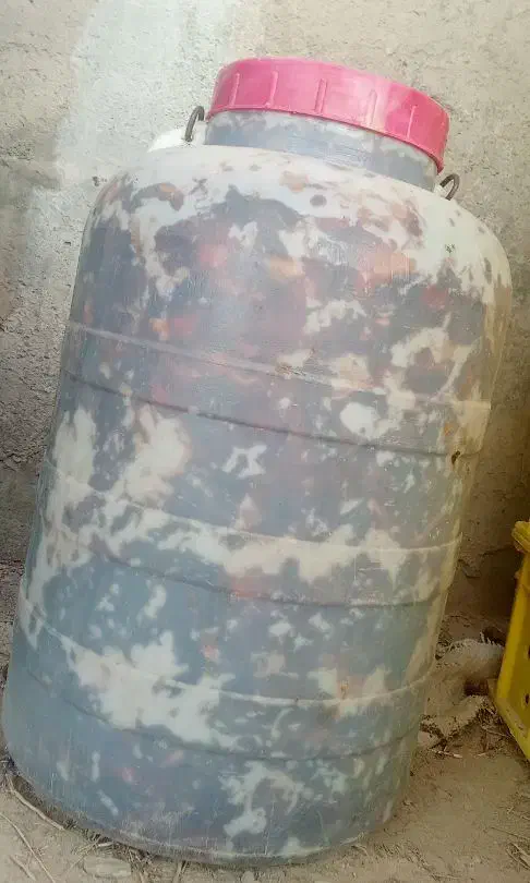 خرما فروشی ربی مضافتی|خوردنی و آشامیدنی|سیب و سوران, |دیوار