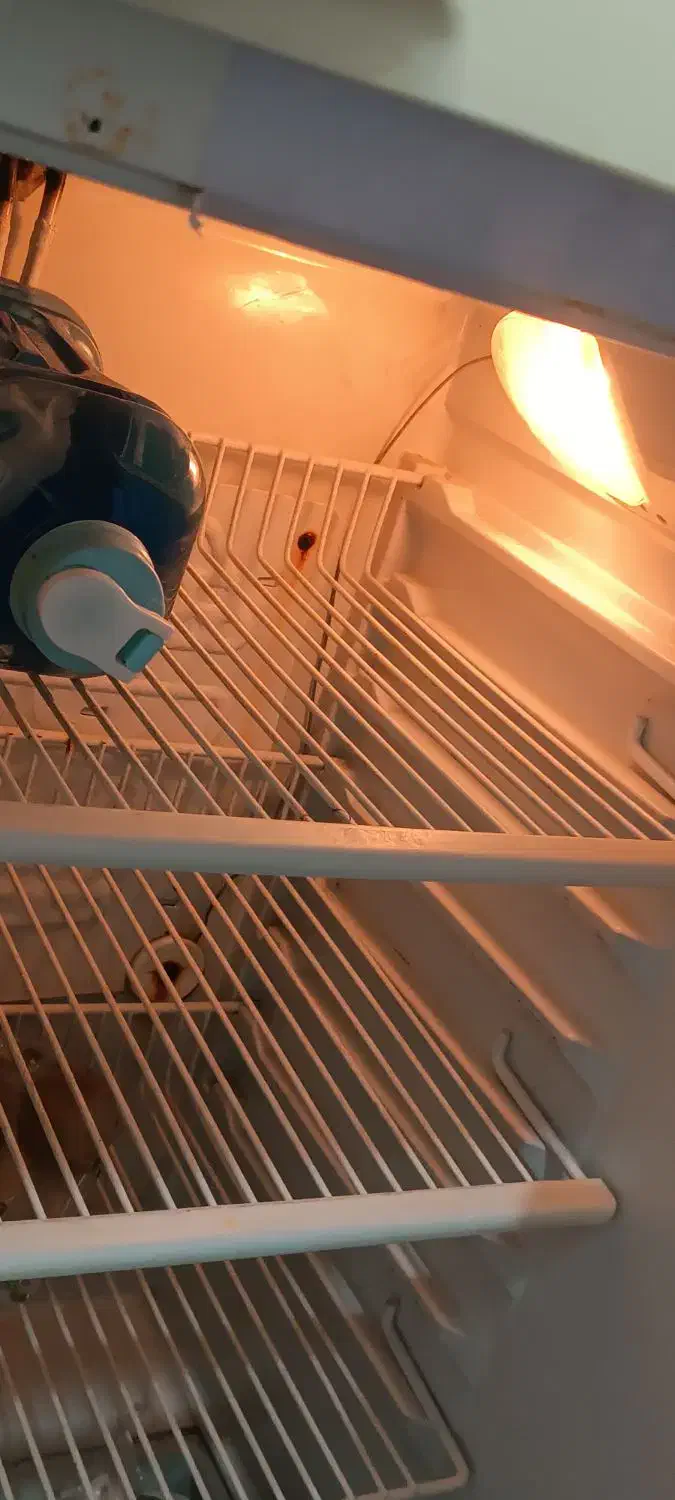 یخچال|یخچال و فریزر|جهرم, |دیوار