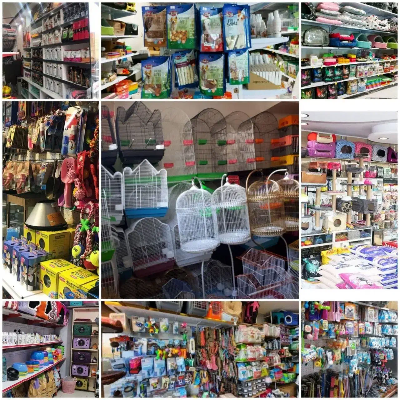 ملزومات شهربزرگ حیوانات|لوازم جانبی حیوانات|مشهد, سرافرازان|دیوار